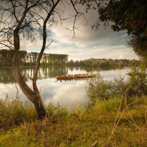 Ferienwohnung Rheinzabern - 4 Sterne Exteriér fotografie